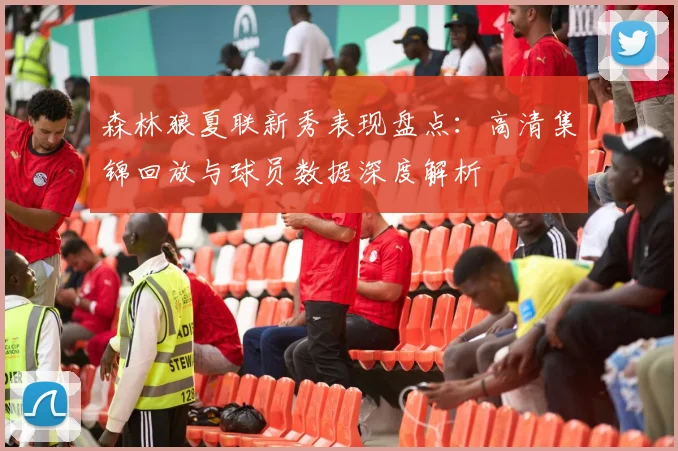 森林狼夏联新秀表现盘点：高清集锦回放与球员数据深度解析
